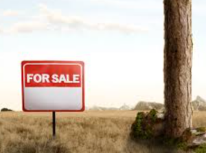 cara-menjual-tanah-agar-tidak-ditipu